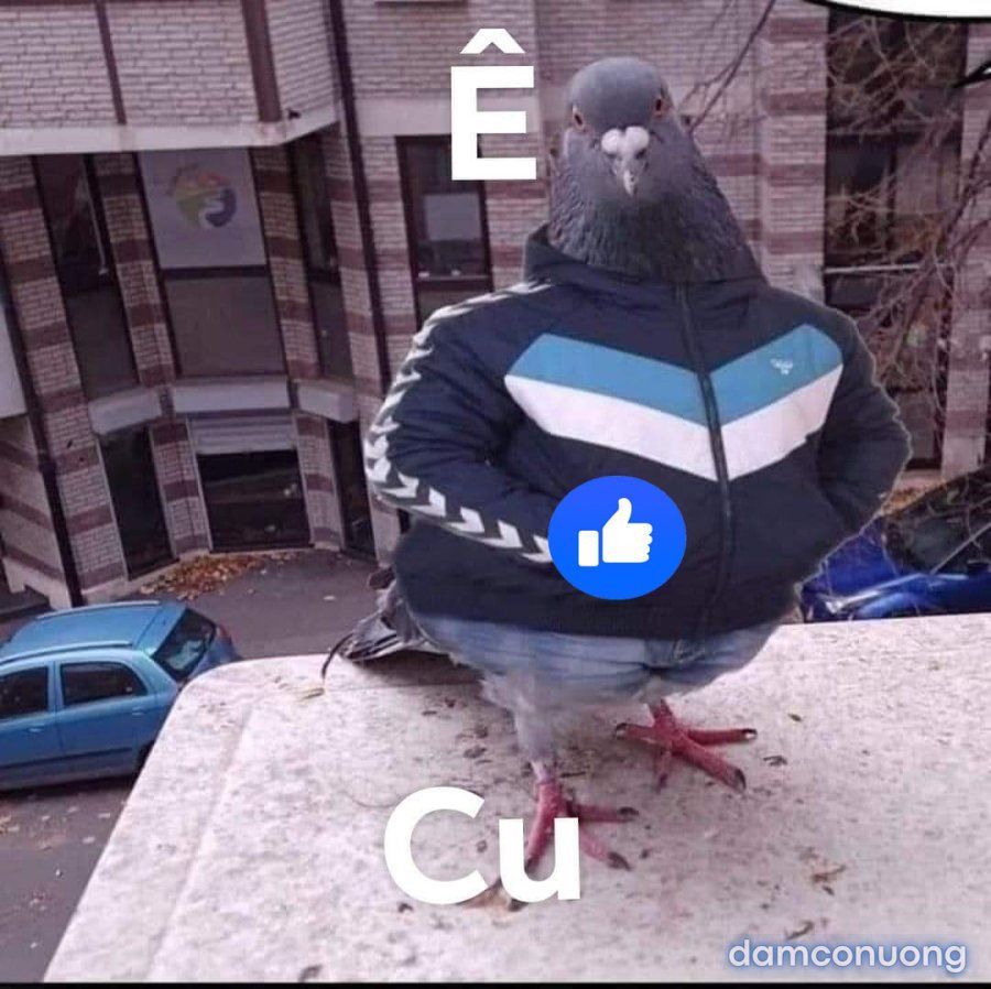 đọc truyện Cô Em Gái Dẫm Đãng Chỉ Làm Tình Với Anh Trai Của Mình! Chương 0 ảnh 29 tại Thiên Thai Truyện