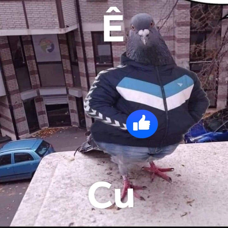 đọc truyện Cô Em Gái Dẫm Đãng Chỉ Làm Tình Với Anh Trai Của Mình! Chương 1 ảnh 28 tại Thiên Thai Truyện