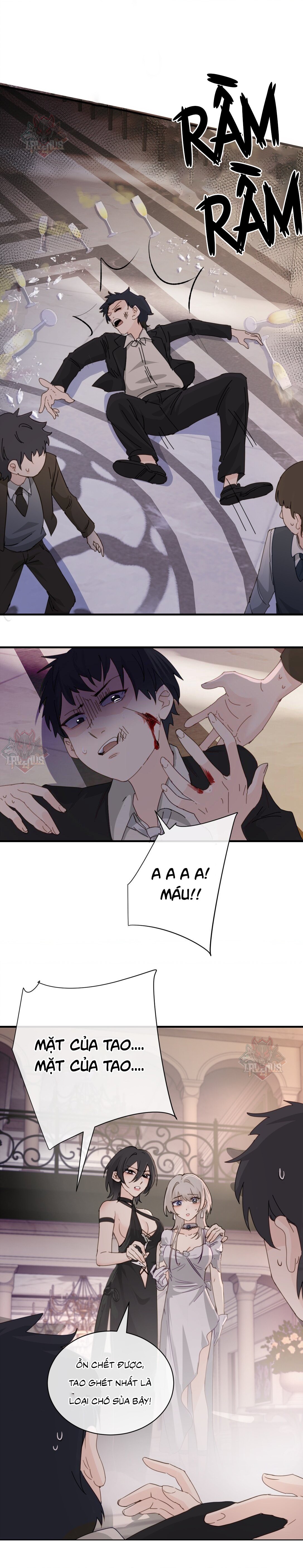 đọc truyện Cô Em Yandere Chỉ Muốn Tôi Bắt Nạt Chương 26 ảnh 6 tại Thiên Thai Truyện