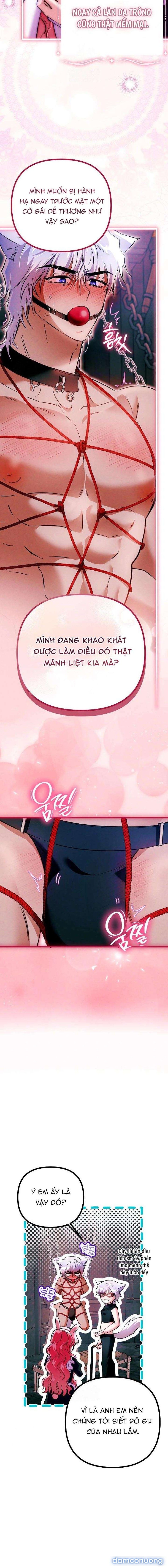 đọc truyện Cô Hầu Thật Quá Đáng Chương 9 ảnh 8 tại Thiên Thai Truyện