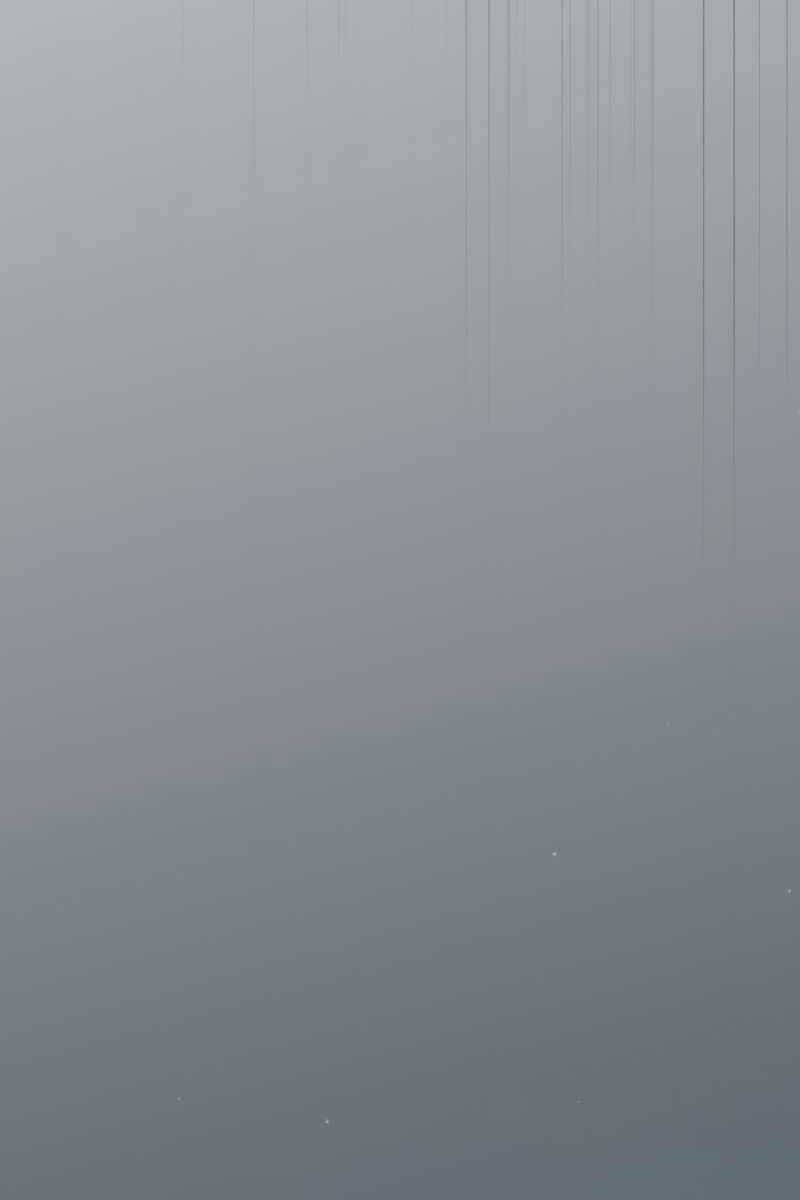 đọc truyện Có Thật Đây Là Anh Hùng Không? Chương 78 ảnh 73 tại Thiên Thai Truyện