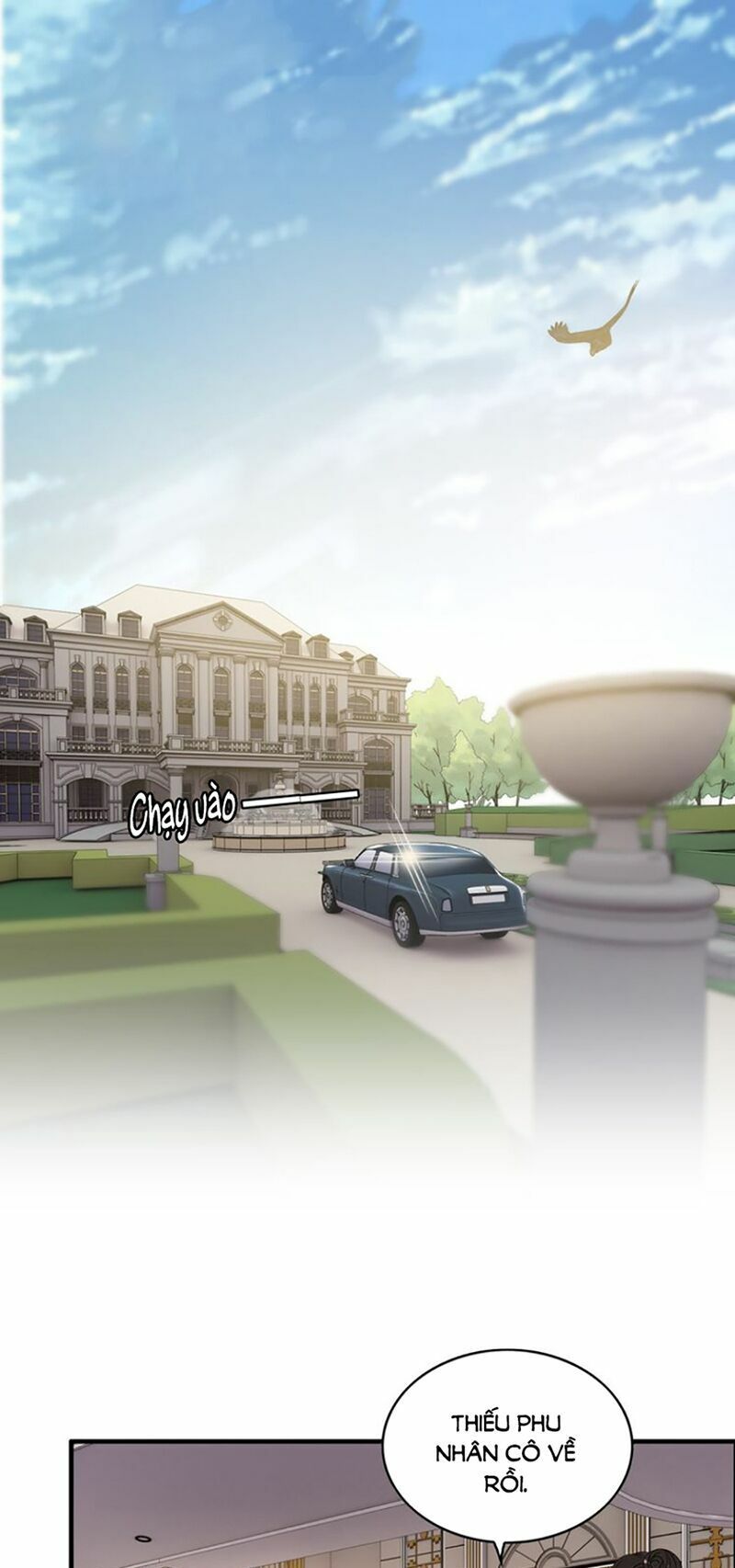 đọc truyện Cô Vợ Hợp Đồng Bỏ Trốn Của Tổng Giám Đốc Chương 100 ảnh 5 tại Thiên Thai Truyện