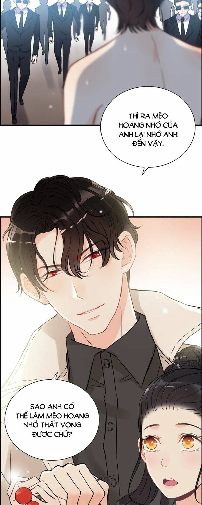 đọc truyện Cô Vợ Hợp Đồng Bỏ Trốn Của Tổng Giám Đốc Chương 104 ảnh 6 tại Thiên Thai Truyện