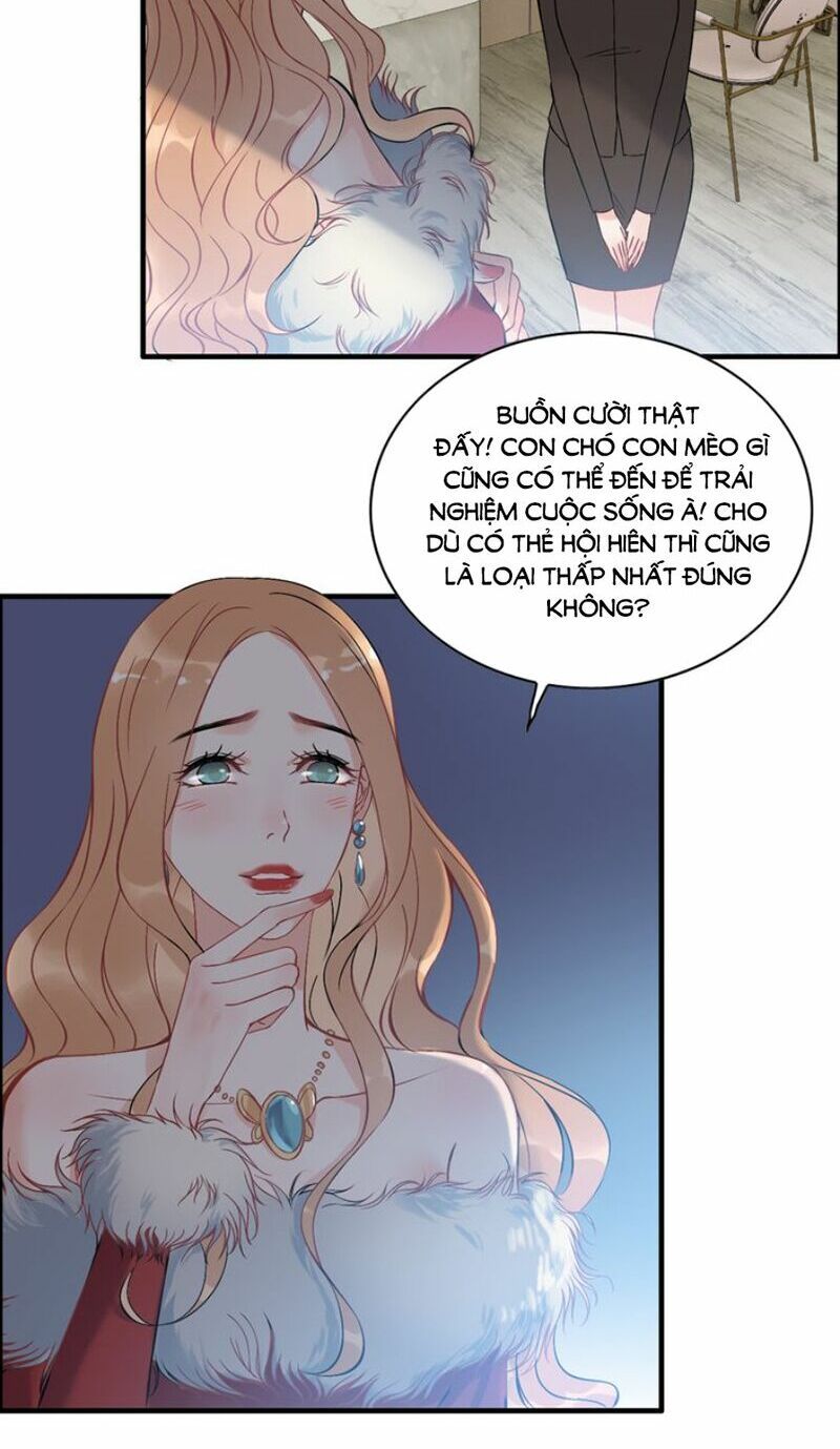 đọc truyện Cô Vợ Hợp Đồng Bỏ Trốn Của Tổng Giám Đốc Chương 107 ảnh 16 tại Thiên Thai Truyện