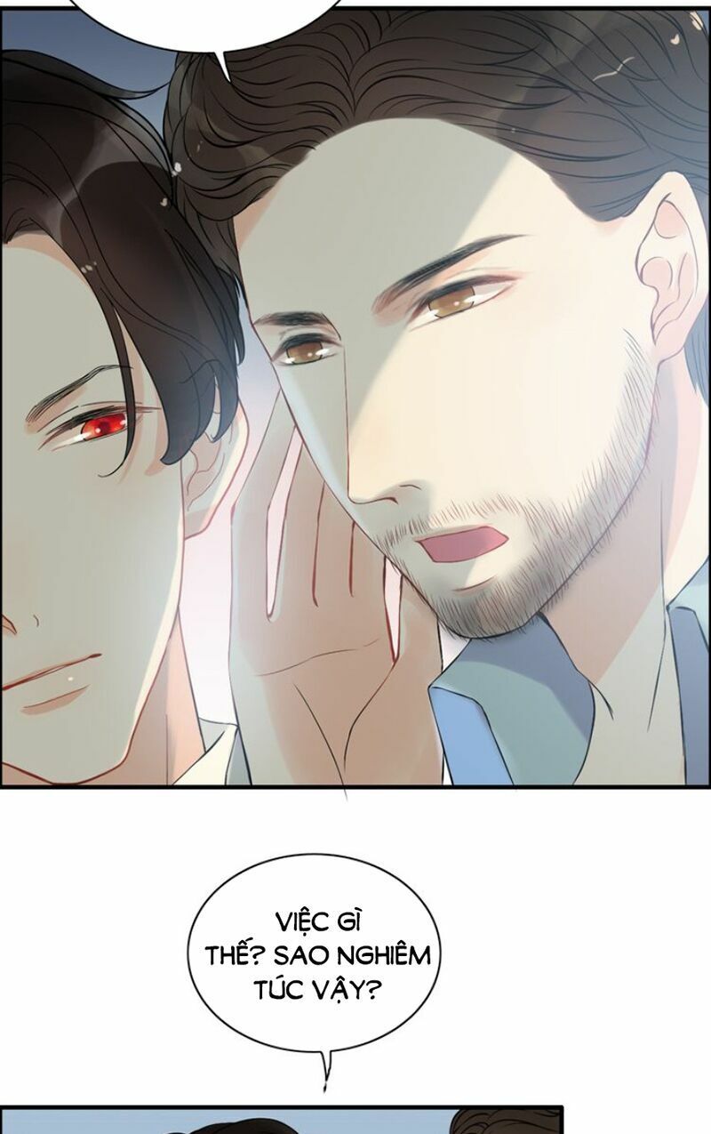 đọc truyện Cô Vợ Hợp Đồng Bỏ Trốn Của Tổng Giám Đốc Chương 113 ảnh 20 tại Thiên Thai Truyện