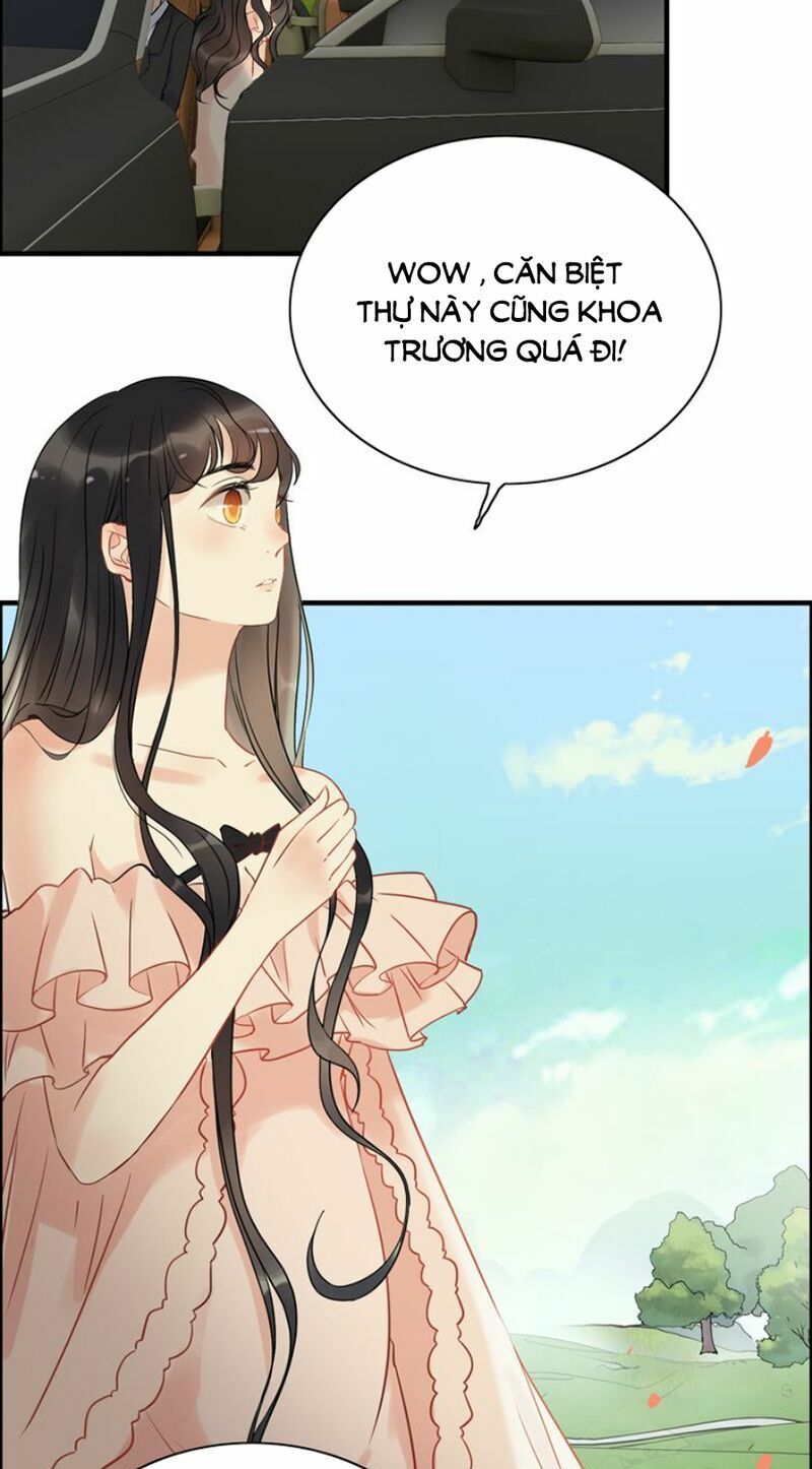 đọc truyện Cô Vợ Hợp Đồng Bỏ Trốn Của Tổng Giám Đốc Chương 114 ảnh 6 tại Thiên Thai Truyện