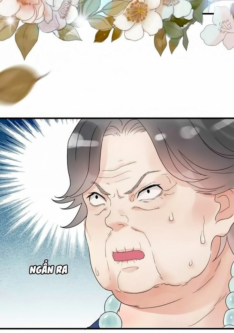 đọc truyện Cô Vợ Hợp Đồng Bỏ Trốn Của Tổng Giám Đốc Chương 12 ảnh 13 tại Thiên Thai Truyện