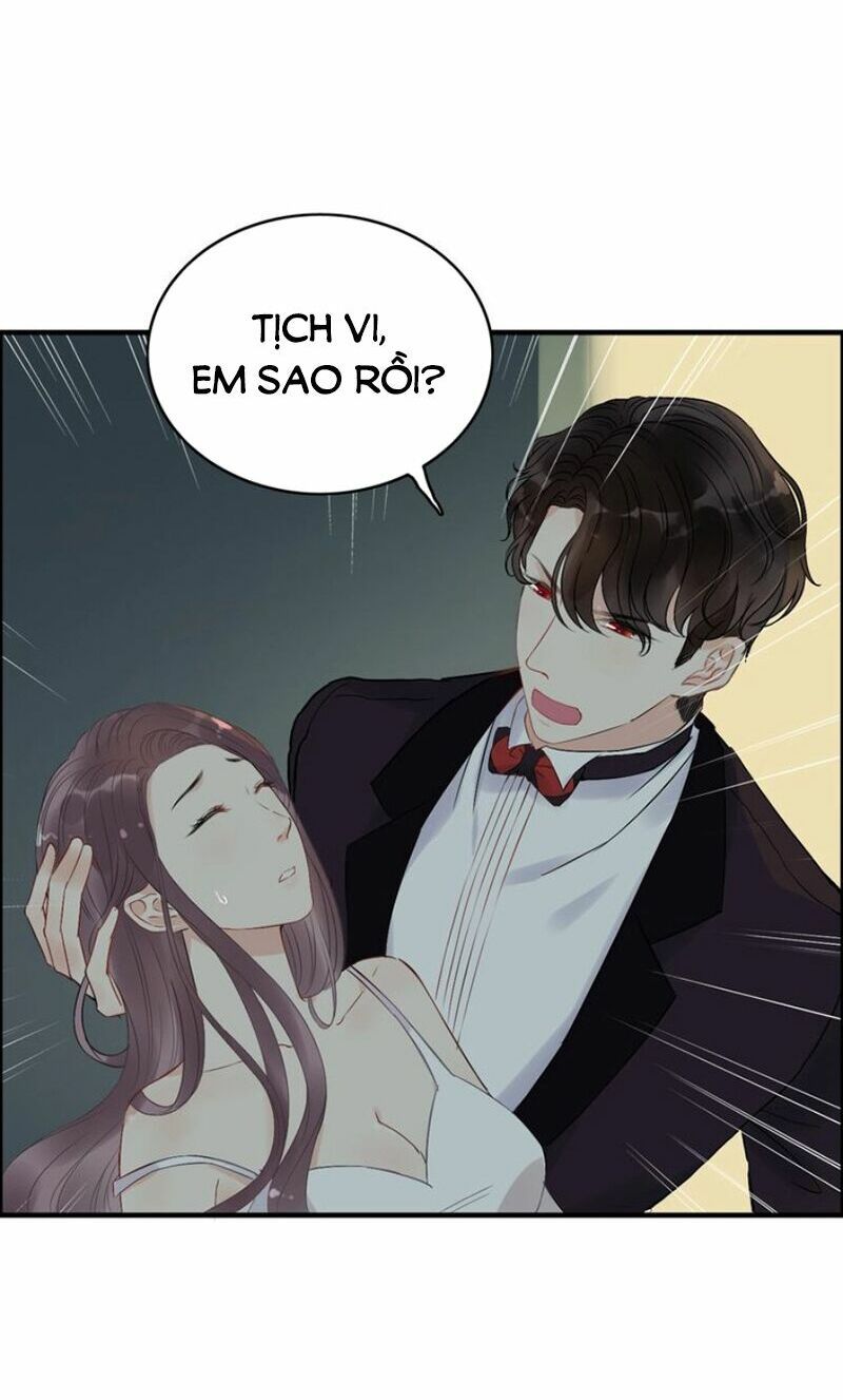 đọc truyện Cô Vợ Hợp Đồng Bỏ Trốn Của Tổng Giám Đốc Chương 123 ảnh 8 tại Thiên Thai Truyện