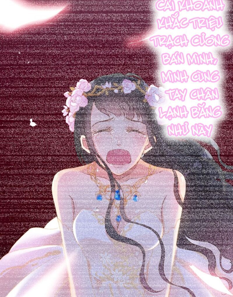 đọc truyện Cô Vợ Hợp Đồng Bỏ Trốn Của Tổng Giám Đốc Chương 127 ảnh 37 tại Thiên Thai Truyện