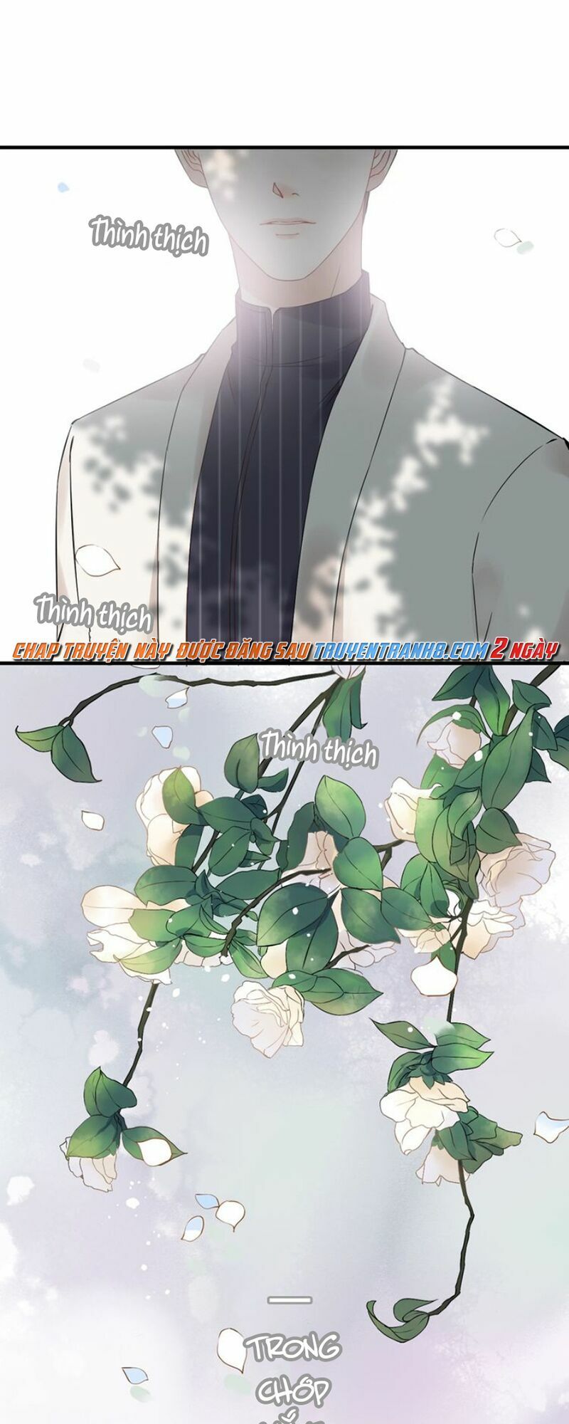 đọc truyện Cô Vợ Hợp Đồng Bỏ Trốn Của Tổng Giám Đốc Chương 128 ảnh 27 tại Thiên Thai Truyện