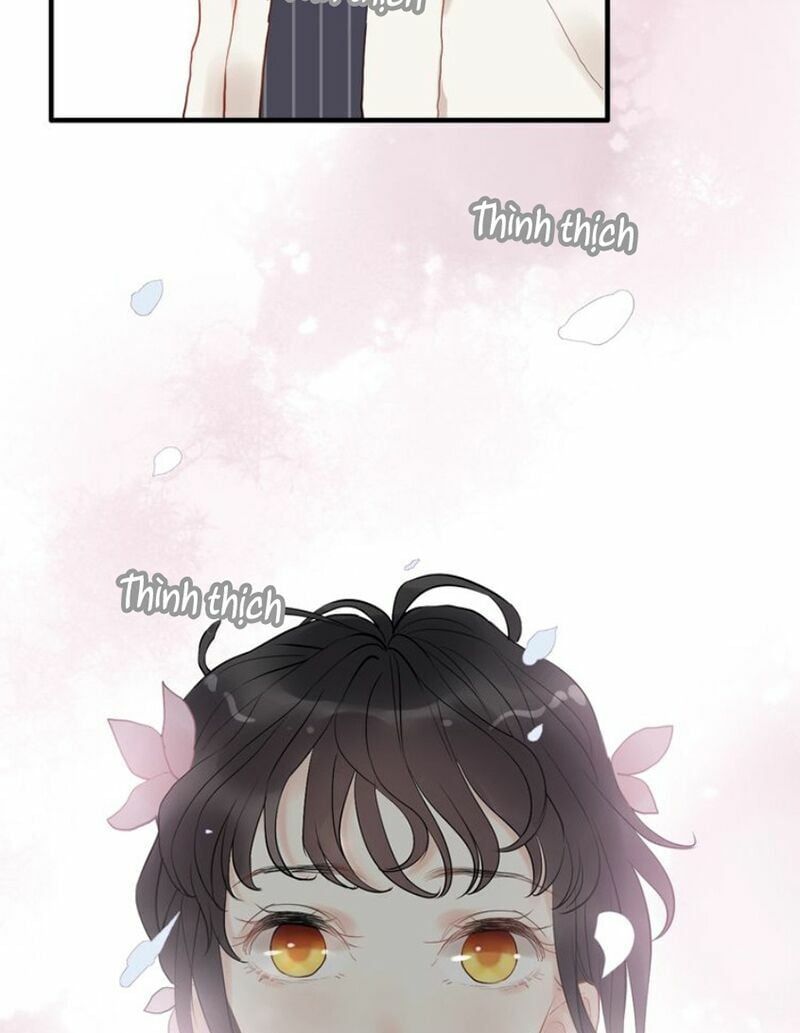 đọc truyện Cô Vợ Hợp Đồng Bỏ Trốn Của Tổng Giám Đốc Chương 128 ảnh 29 tại Thiên Thai Truyện