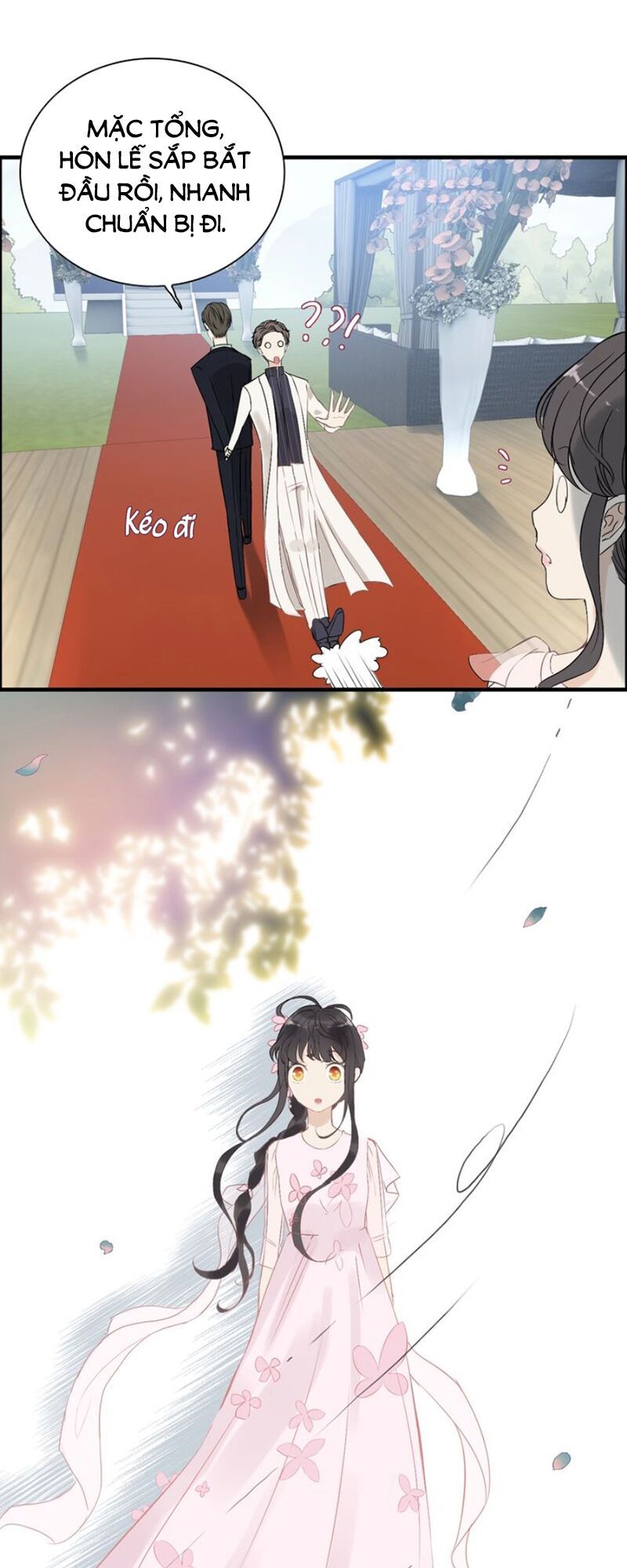 đọc truyện Cô Vợ Hợp Đồng Bỏ Trốn Của Tổng Giám Đốc Chương 129 ảnh 12 tại Thiên Thai Truyện