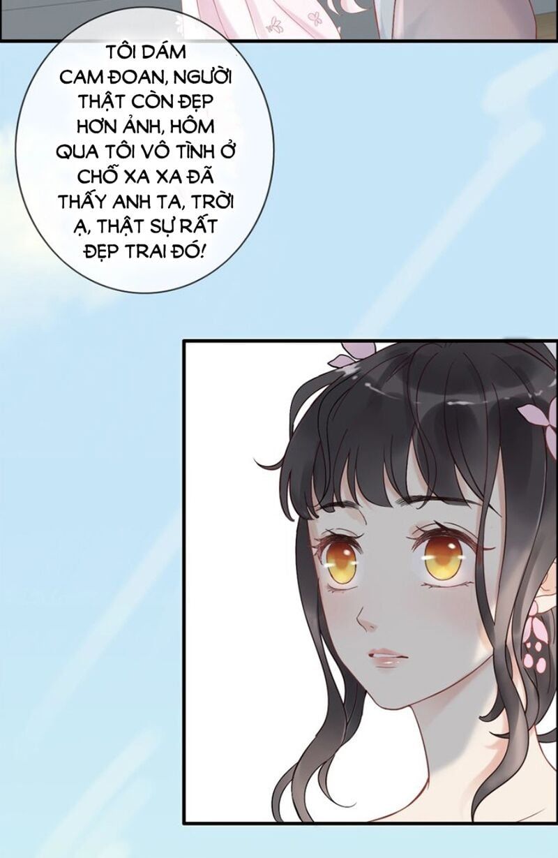 đọc truyện Cô Vợ Hợp Đồng Bỏ Trốn Của Tổng Giám Đốc Chương 129 ảnh 15 tại Thiên Thai Truyện