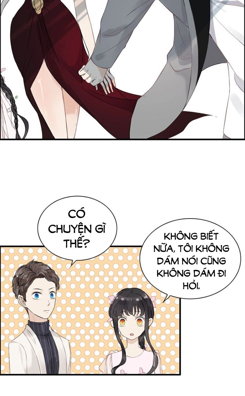 đọc truyện Cô Vợ Hợp Đồng Bỏ Trốn Của Tổng Giám Đốc Chương 129 ảnh 8 tại Thiên Thai Truyện