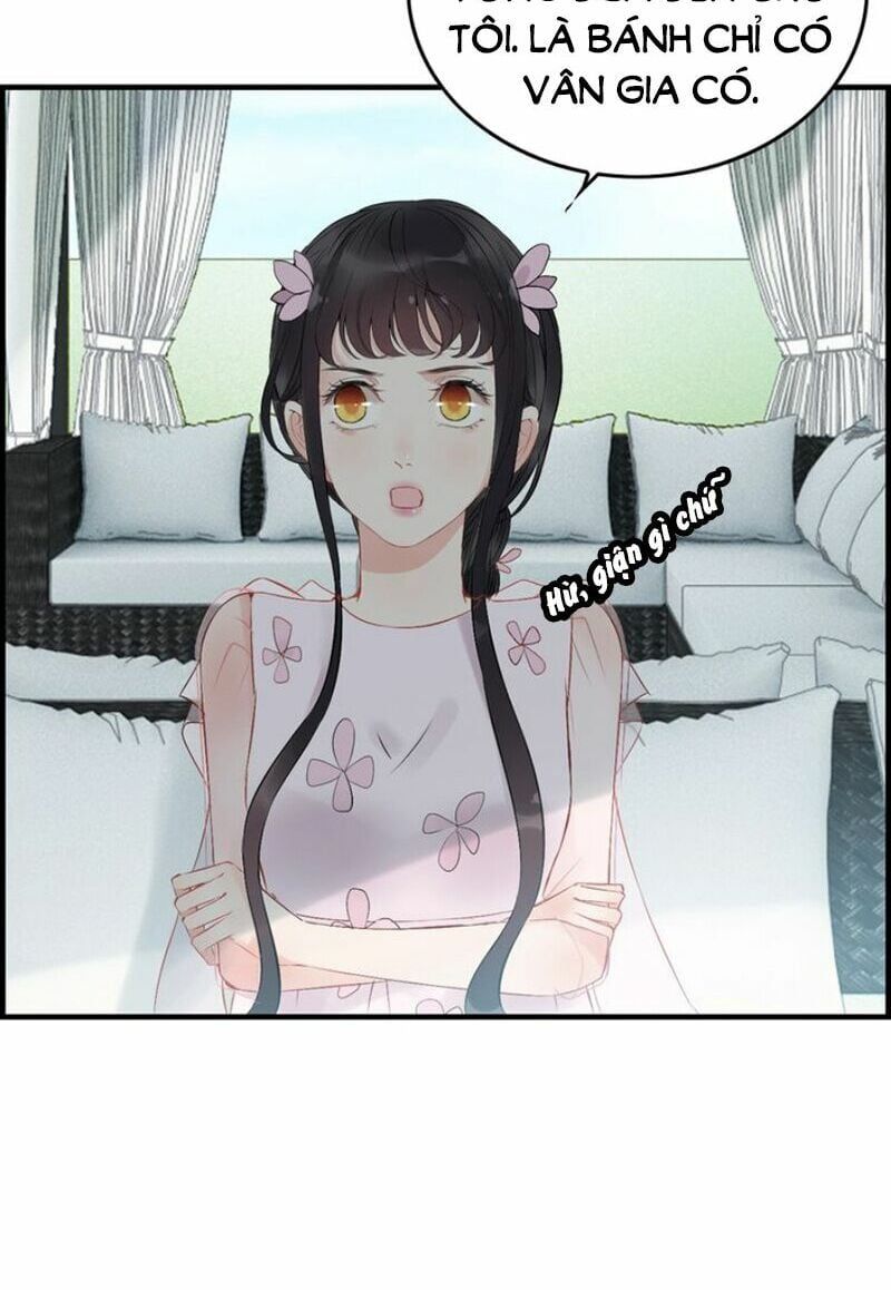 đọc truyện Cô Vợ Hợp Đồng Bỏ Trốn Của Tổng Giám Đốc Chương 135 ảnh 14 tại Thiên Thai Truyện