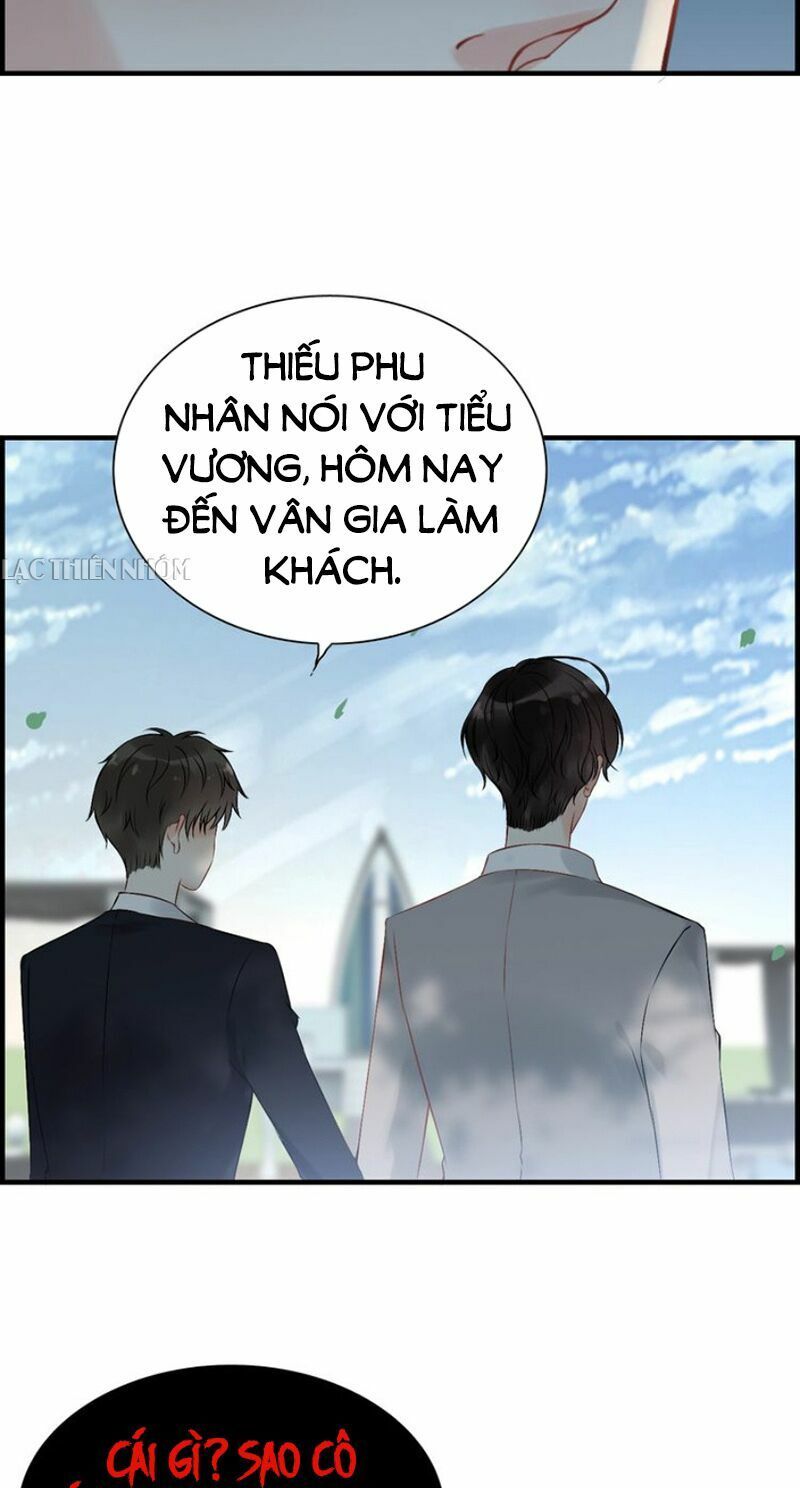 đọc truyện Cô Vợ Hợp Đồng Bỏ Trốn Của Tổng Giám Đốc Chương 136 ảnh 29 tại Thiên Thai Truyện