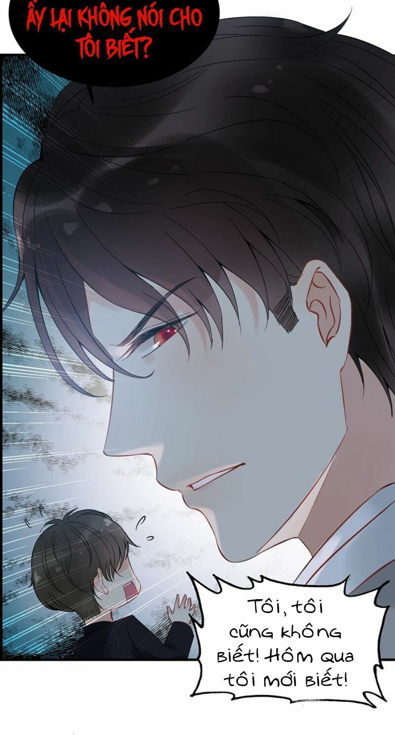 đọc truyện Cô Vợ Hợp Đồng Bỏ Trốn Của Tổng Giám Đốc Chương 136 ảnh 30 tại Thiên Thai Truyện