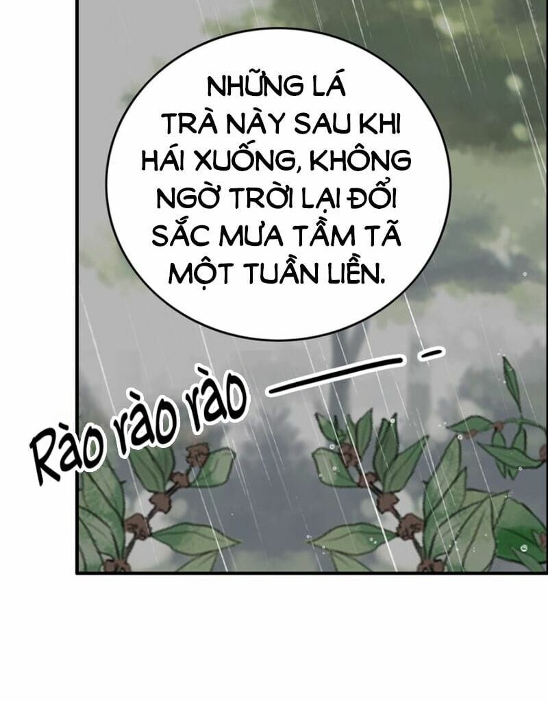 đọc truyện Cô Vợ Hợp Đồng Bỏ Trốn Của Tổng Giám Đốc Chương 139 ảnh 24 tại Thiên Thai Truyện