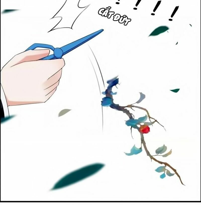 đọc truyện Cô Vợ Hợp Đồng Bỏ Trốn Của Tổng Giám Đốc Chương 14 ảnh 27 tại Thiên Thai Truyện