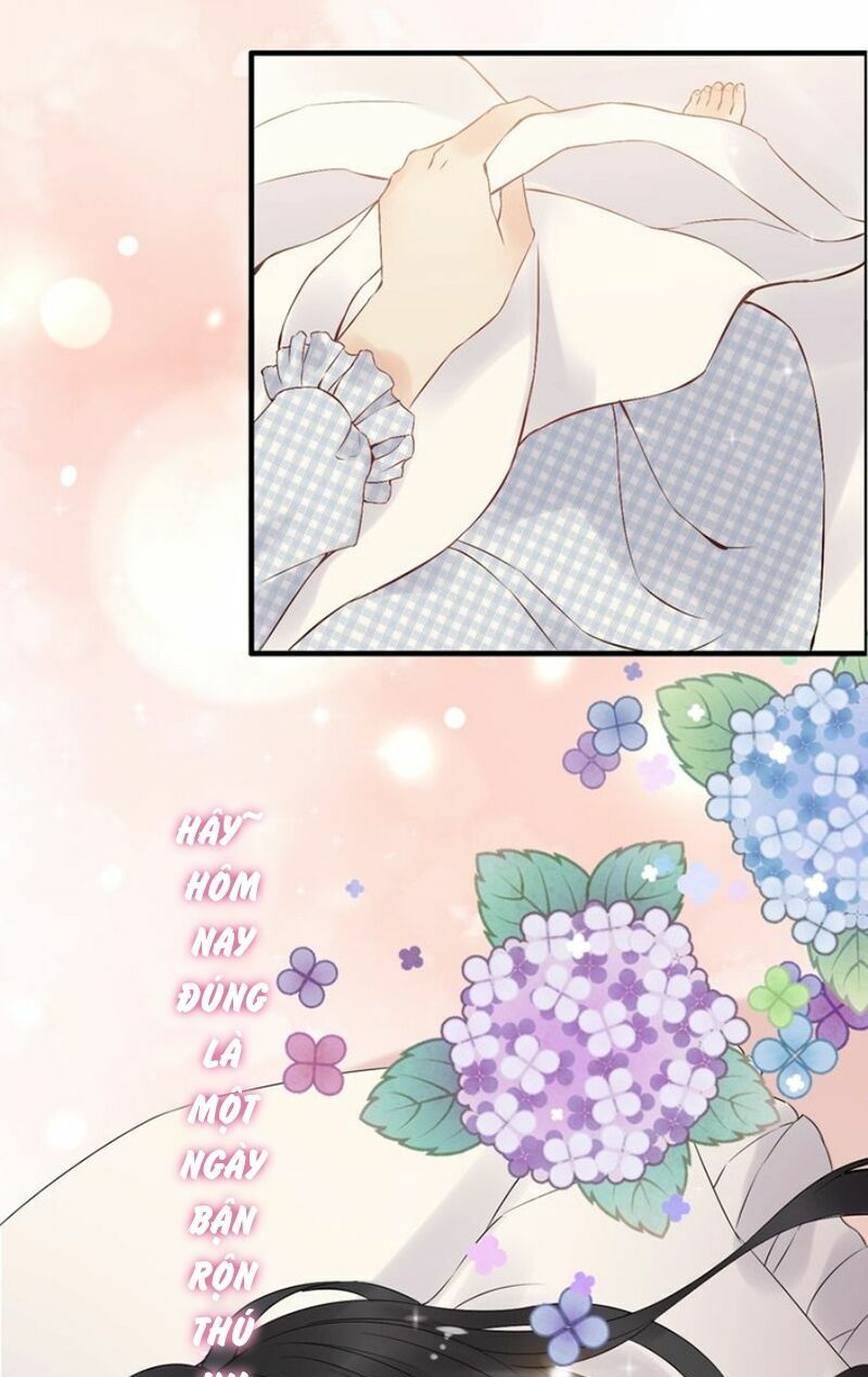 đọc truyện Cô Vợ Hợp Đồng Bỏ Trốn Của Tổng Giám Đốc Chương 142 ảnh 19 tại Thiên Thai Truyện