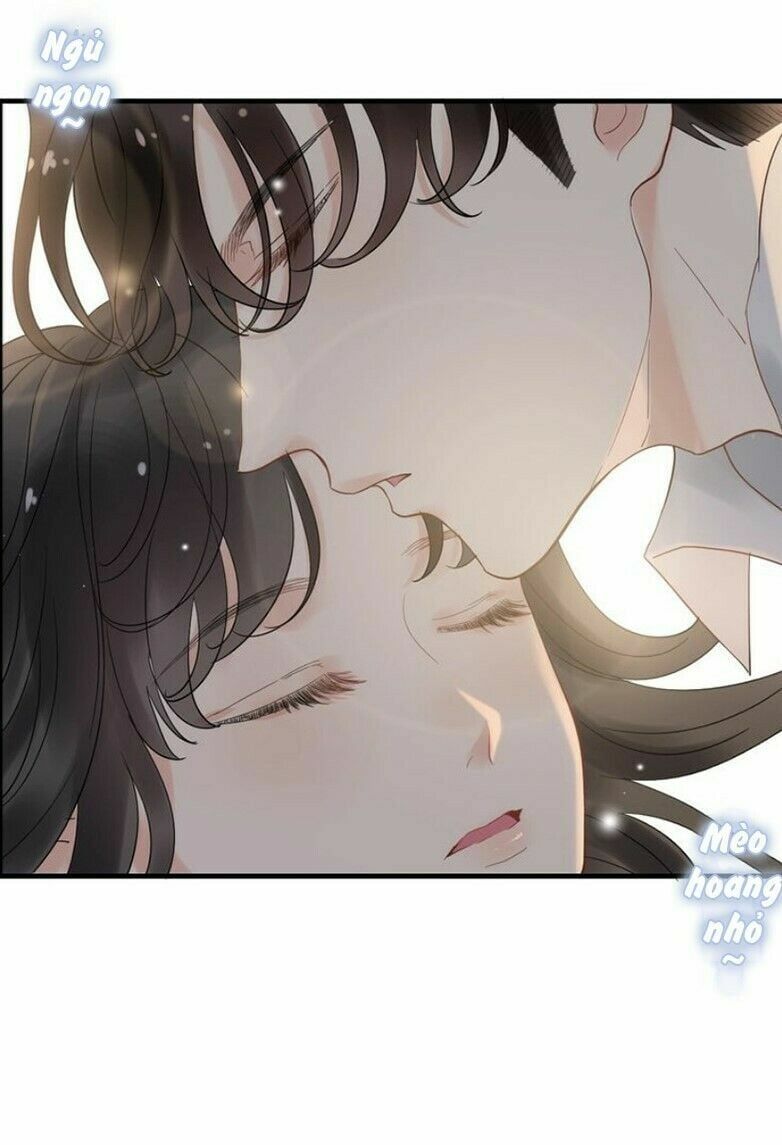 đọc truyện Cô Vợ Hợp Đồng Bỏ Trốn Của Tổng Giám Đốc Chương 142 ảnh 26 tại Thiên Thai Truyện