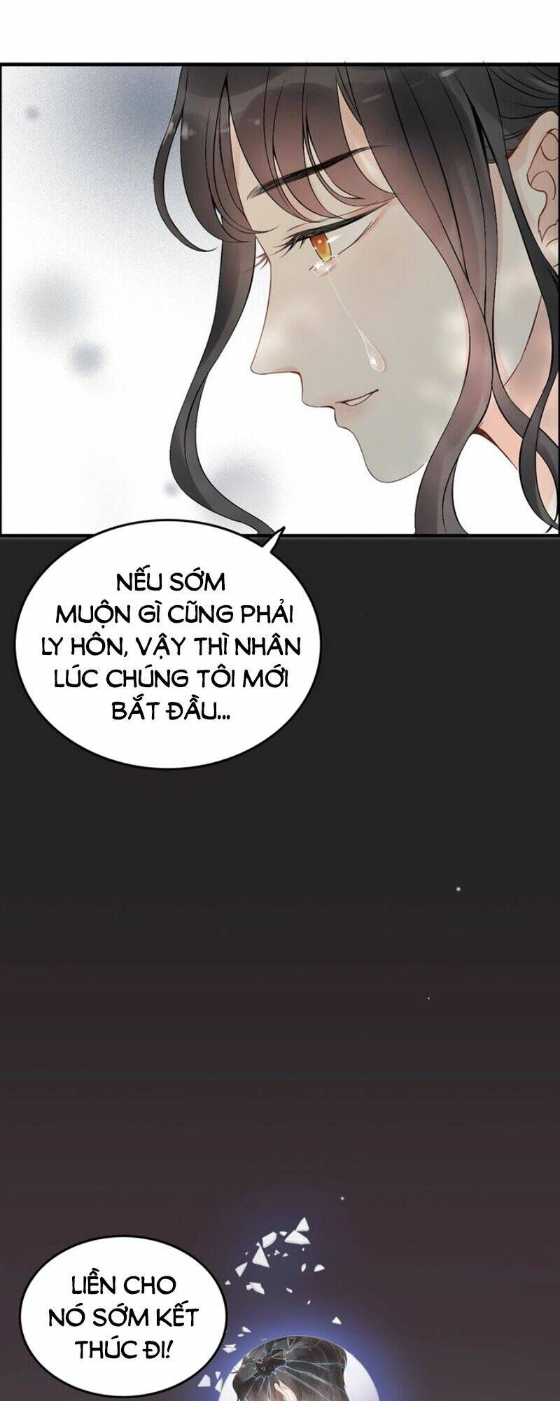 đọc truyện Cô Vợ Hợp Đồng Bỏ Trốn Của Tổng Giám Đốc Chương 156 ảnh 12 tại Thiên Thai Truyện