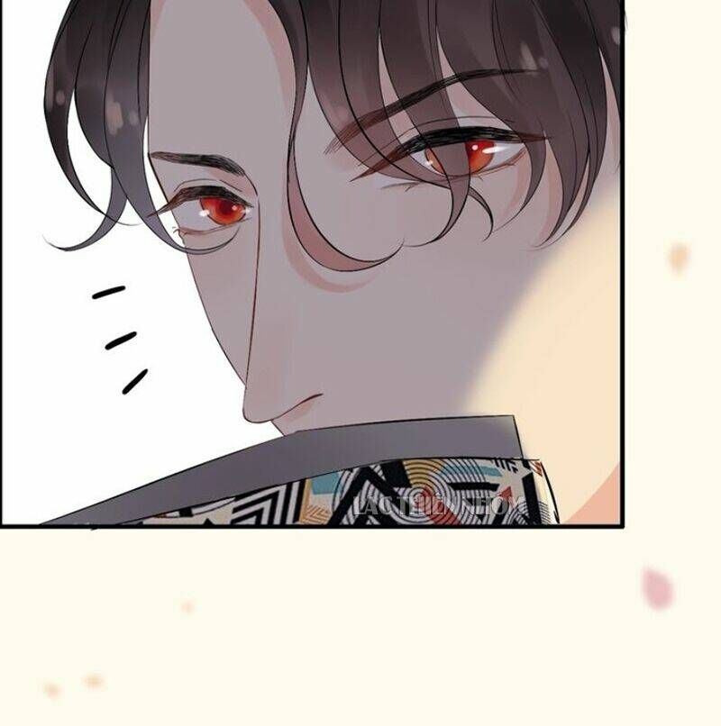 đọc truyện Cô Vợ Hợp Đồng Bỏ Trốn Của Tổng Giám Đốc Chương 162 ảnh 14 tại Thiên Thai Truyện