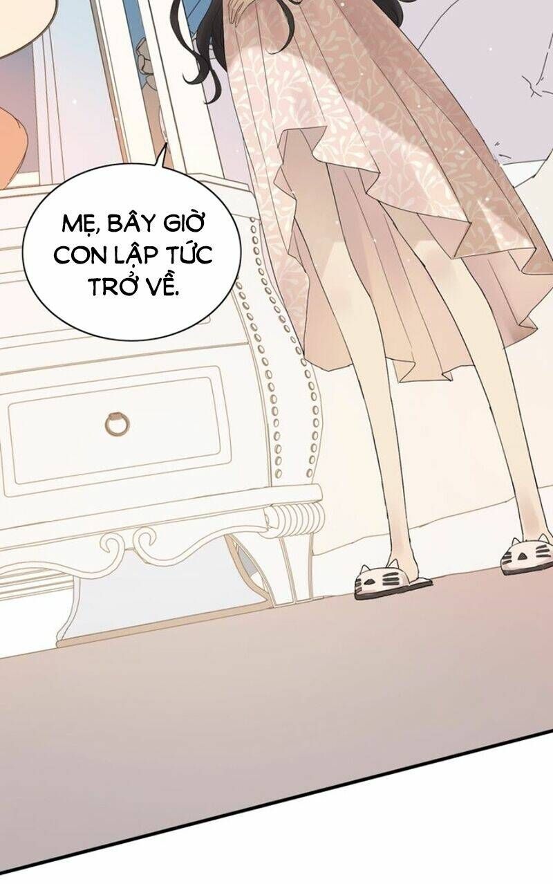 đọc truyện Cô Vợ Hợp Đồng Bỏ Trốn Của Tổng Giám Đốc Chương 162 ảnh 32 tại Thiên Thai Truyện