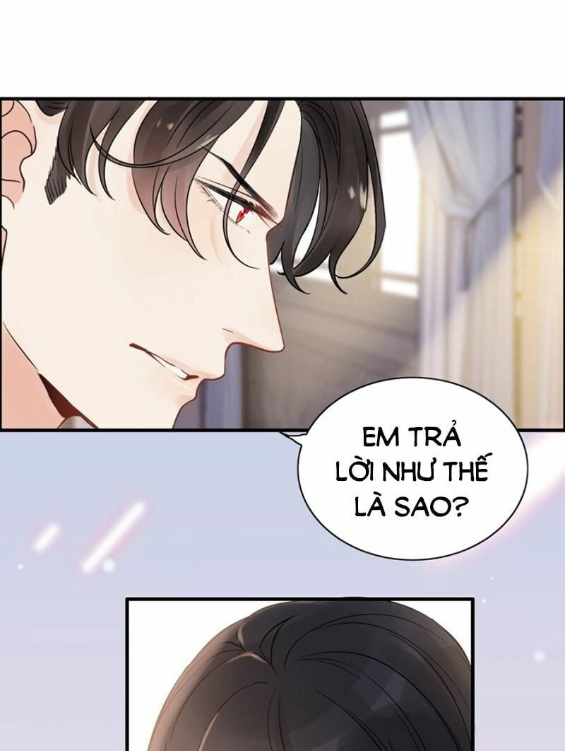 đọc truyện Cô Vợ Hợp Đồng Bỏ Trốn Của Tổng Giám Đốc Chương 171 ảnh 10 tại Thiên Thai Truyện