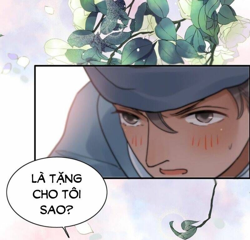 đọc truyện Cô Vợ Hợp Đồng Bỏ Trốn Của Tổng Giám Đốc Chương 175 ảnh 30 tại Thiên Thai Truyện