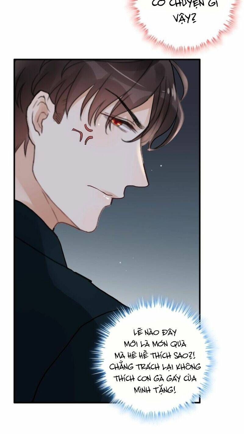 đọc truyện Cô Vợ Hợp Đồng Bỏ Trốn Của Tổng Giám Đốc Chương 175 ảnh 34 tại Thiên Thai Truyện