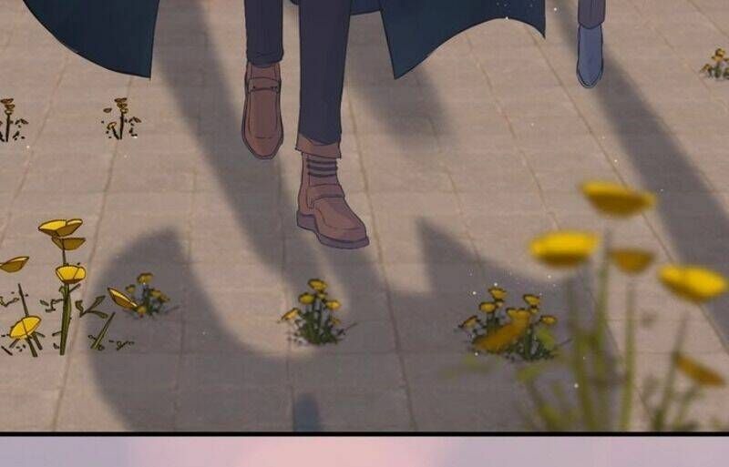 đọc truyện Cô Vợ Hợp Đồng Bỏ Trốn Của Tổng Giám Đốc Chương 175 ảnh 6 tại Thiên Thai Truyện