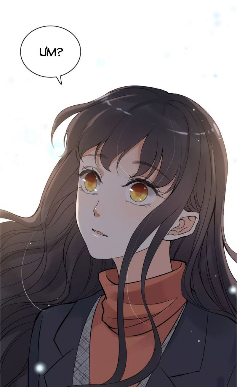 đọc truyện Cô Vợ Hợp Đồng Bỏ Trốn Của Tổng Giám Đốc Chương 179 ảnh 15 tại Thiên Thai Truyện