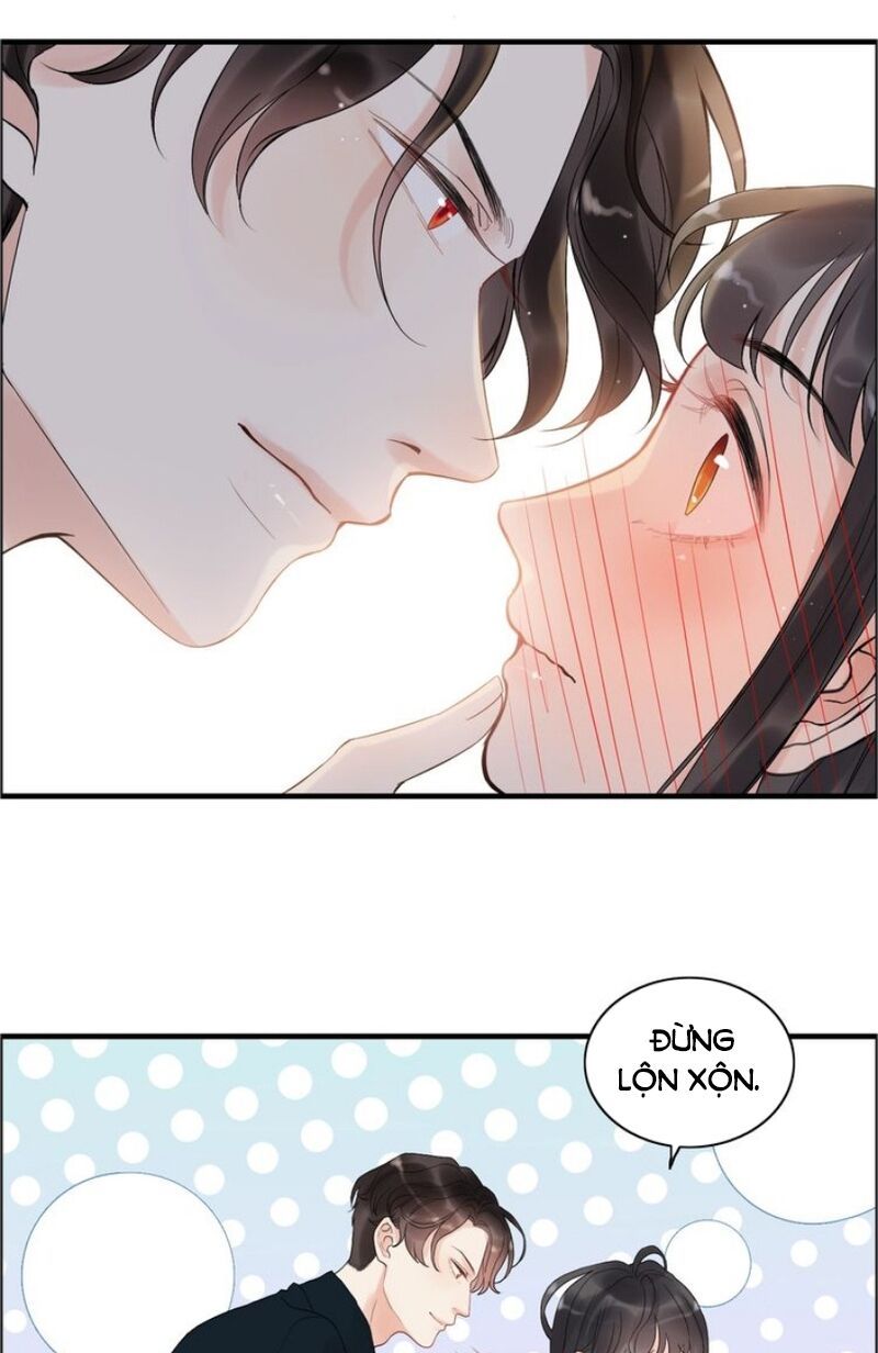 đọc truyện Cô Vợ Hợp Đồng Bỏ Trốn Của Tổng Giám Đốc Chương 179 ảnh 33 tại Thiên Thai Truyện