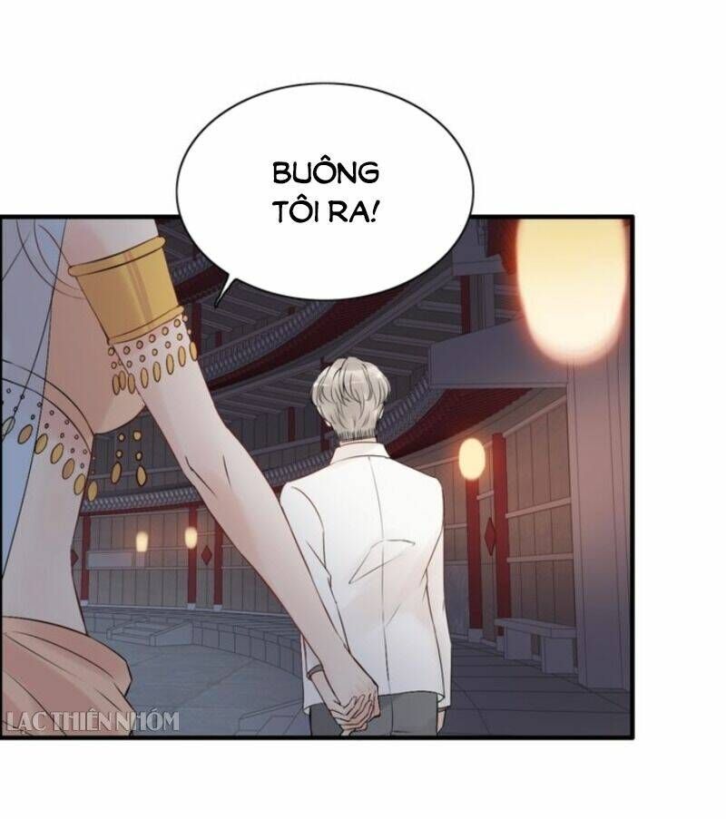 đọc truyện Cô Vợ Hợp Đồng Bỏ Trốn Của Tổng Giám Đốc Chương 184 ảnh 6 tại Thiên Thai Truyện