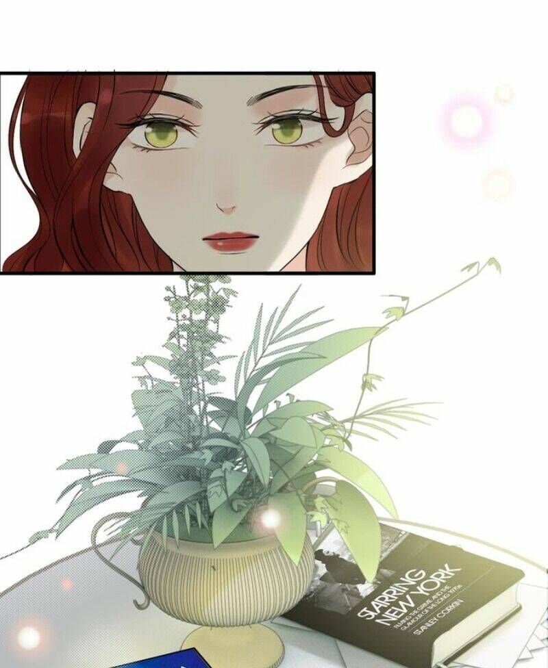 đọc truyện Cô Vợ Hợp Đồng Bỏ Trốn Của Tổng Giám Đốc Chương 189 ảnh 25 tại Thiên Thai Truyện