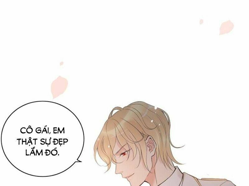 đọc truyện Cô Vợ Hợp Đồng Bỏ Trốn Của Tổng Giám Đốc Chương 193 ảnh 16 tại Thiên Thai Truyện