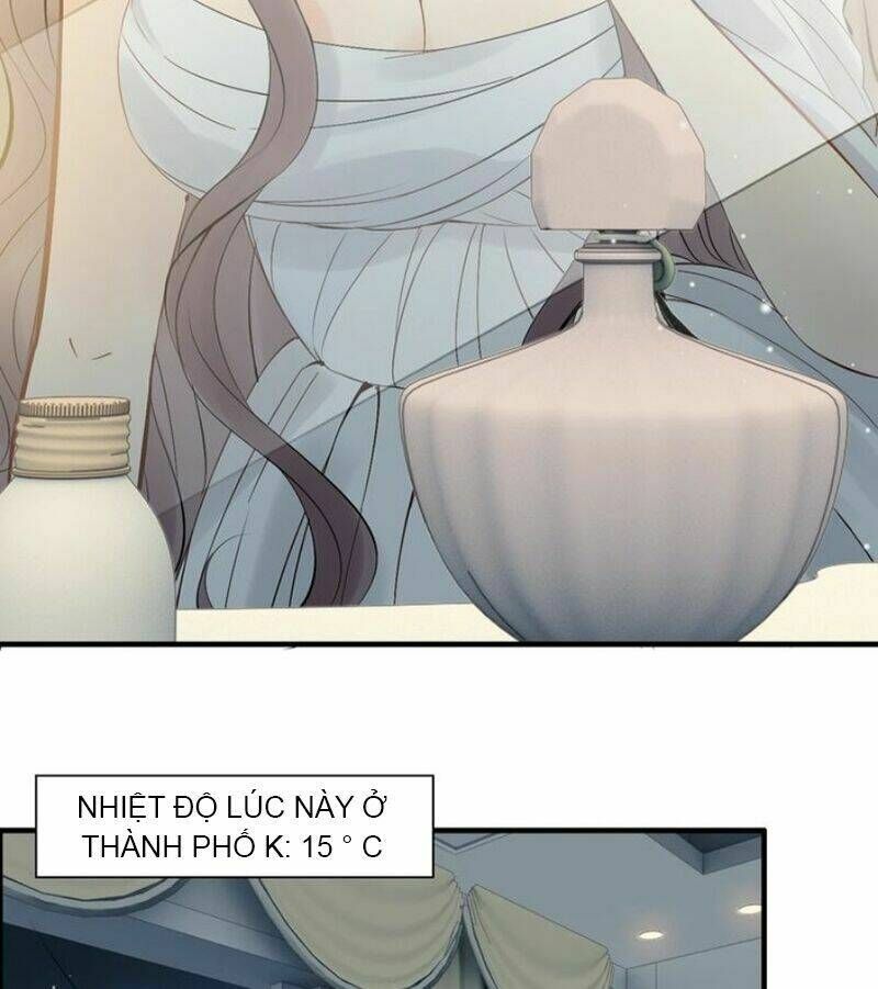 đọc truyện Cô Vợ Hợp Đồng Bỏ Trốn Của Tổng Giám Đốc Chương 194 ảnh 10 tại Thiên Thai Truyện