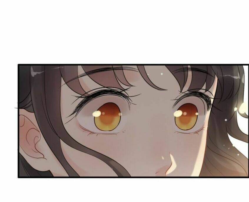 đọc truyện Cô Vợ Hợp Đồng Bỏ Trốn Của Tổng Giám Đốc Chương 196 ảnh 73 tại Thiên Thai Truyện