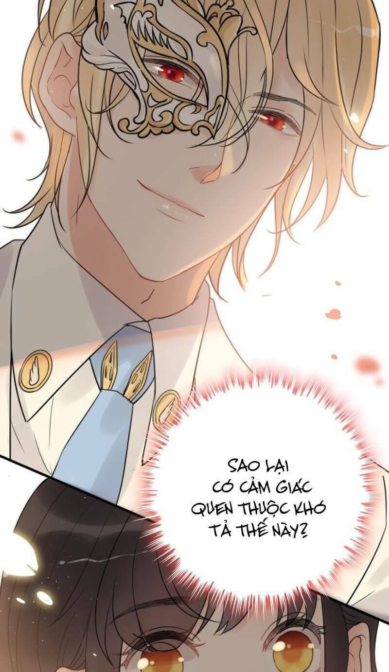 đọc truyện Cô Vợ Hợp Đồng Bỏ Trốn Của Tổng Giám Đốc Chương 197 ảnh 30 tại Thiên Thai Truyện