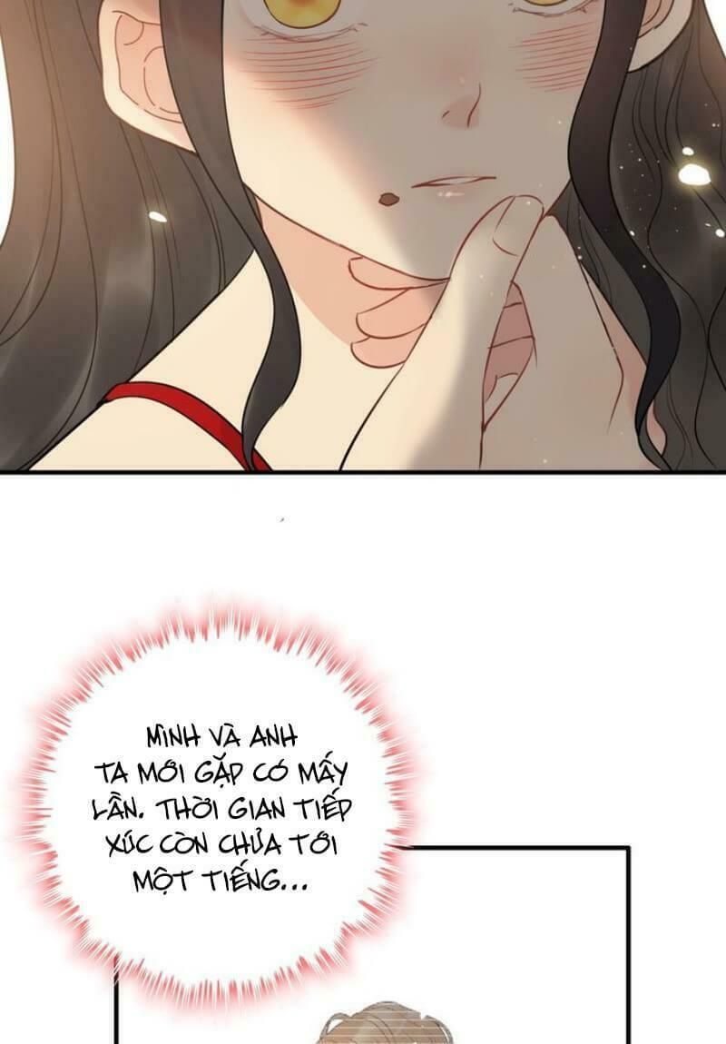 đọc truyện Cô Vợ Hợp Đồng Bỏ Trốn Của Tổng Giám Đốc Chương 197 ảnh 31 tại Thiên Thai Truyện