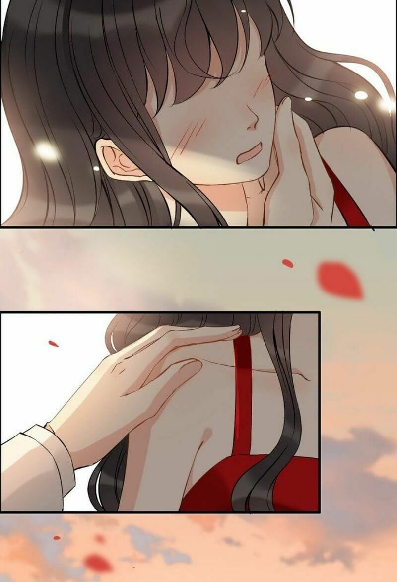 đọc truyện Cô Vợ Hợp Đồng Bỏ Trốn Của Tổng Giám Đốc Chương 197 ảnh 35 tại Thiên Thai Truyện