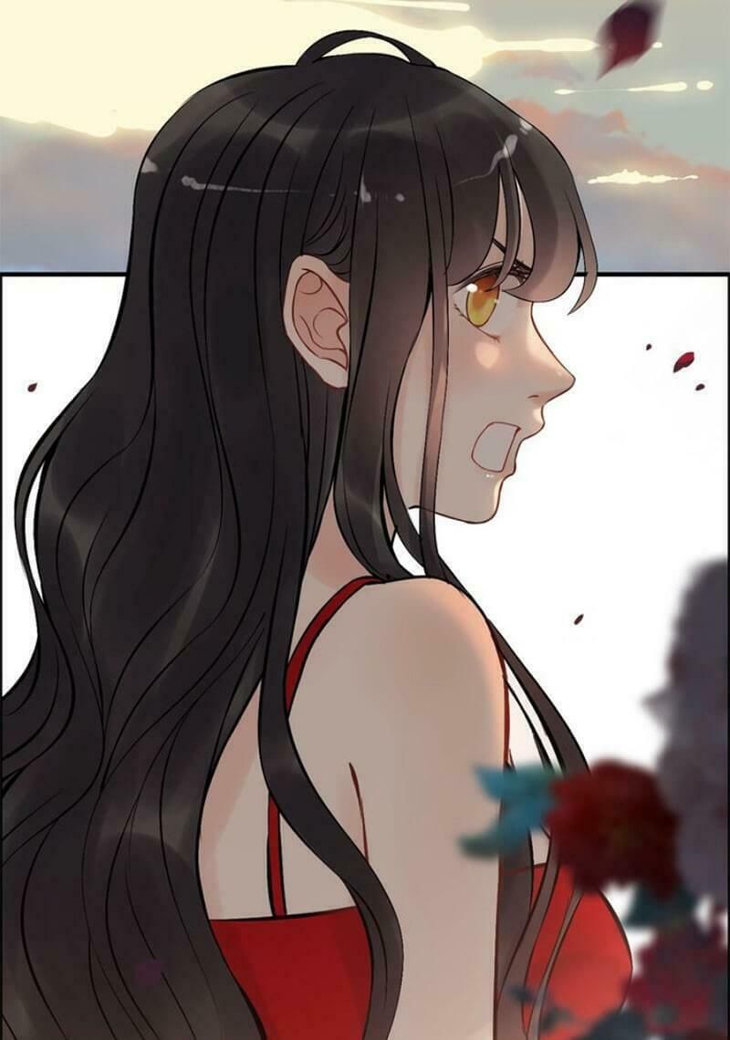 đọc truyện Cô Vợ Hợp Đồng Bỏ Trốn Của Tổng Giám Đốc Chương 198 ảnh 12 tại Thiên Thai Truyện