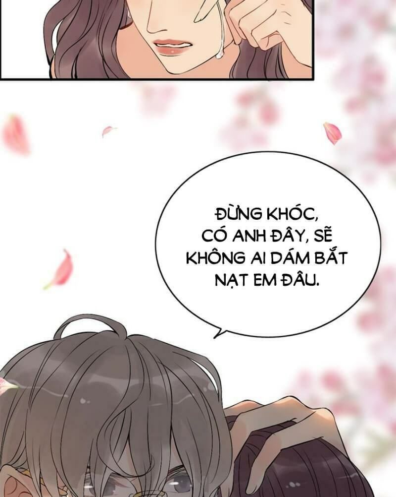 đọc truyện Cô Vợ Hợp Đồng Bỏ Trốn Của Tổng Giám Đốc Chương 201 ảnh 23 tại Thiên Thai Truyện