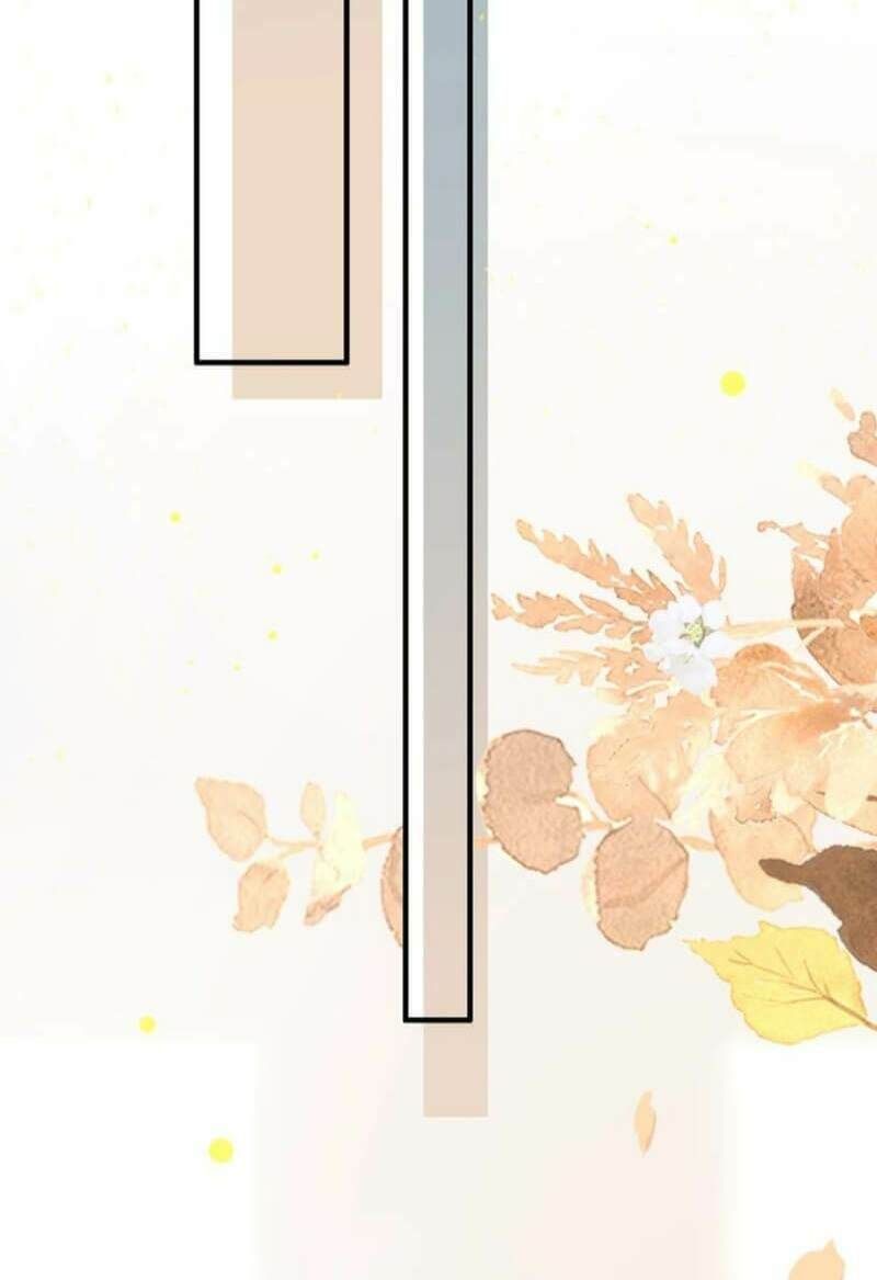 đọc truyện Cô Vợ Hợp Đồng Bỏ Trốn Của Tổng Giám Đốc Chương 203 ảnh 15 tại Thiên Thai Truyện