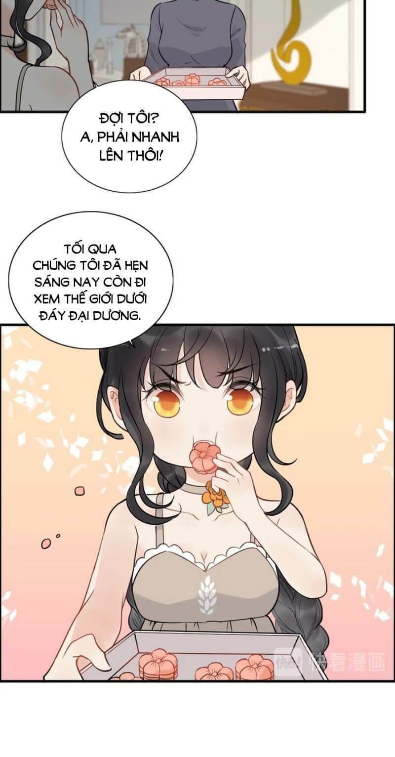 đọc truyện Cô Vợ Hợp Đồng Bỏ Trốn Của Tổng Giám Đốc Chương 203 ảnh 22 tại Thiên Thai Truyện