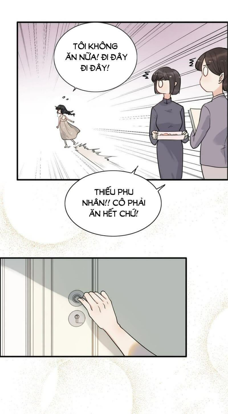 đọc truyện Cô Vợ Hợp Đồng Bỏ Trốn Của Tổng Giám Đốc Chương 203 ảnh 23 tại Thiên Thai Truyện