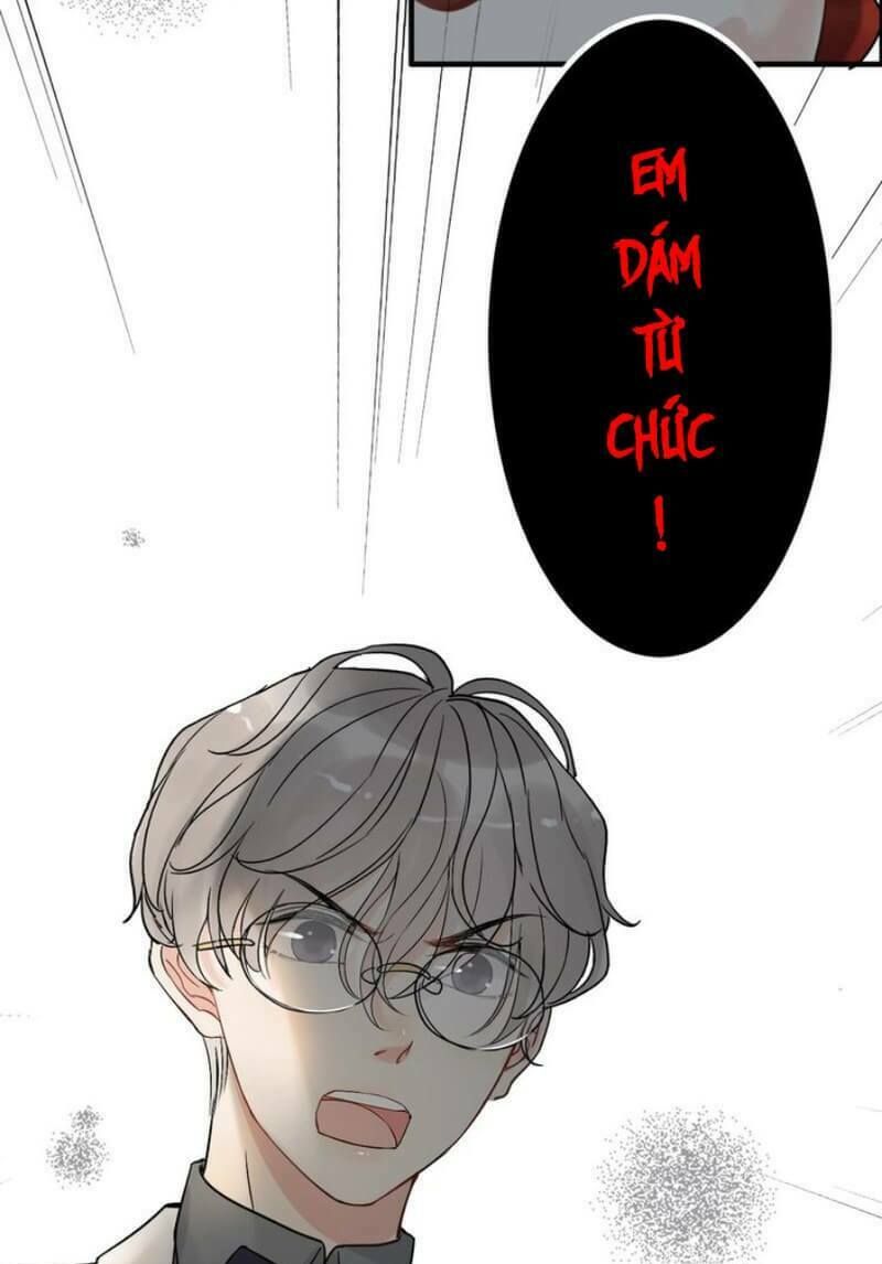 đọc truyện Cô Vợ Hợp Đồng Bỏ Trốn Của Tổng Giám Đốc Chương 203 ảnh 48 tại Thiên Thai Truyện