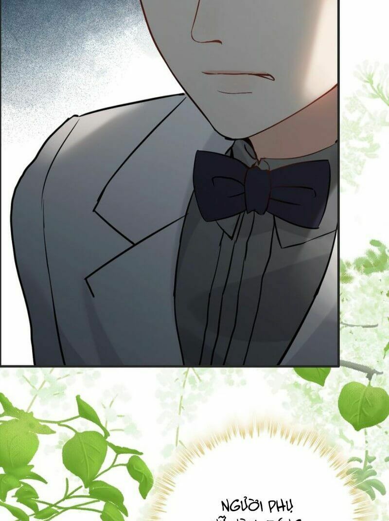 đọc truyện Cô Vợ Hợp Đồng Bỏ Trốn Của Tổng Giám Đốc Chương 205 ảnh 28 tại Thiên Thai Truyện