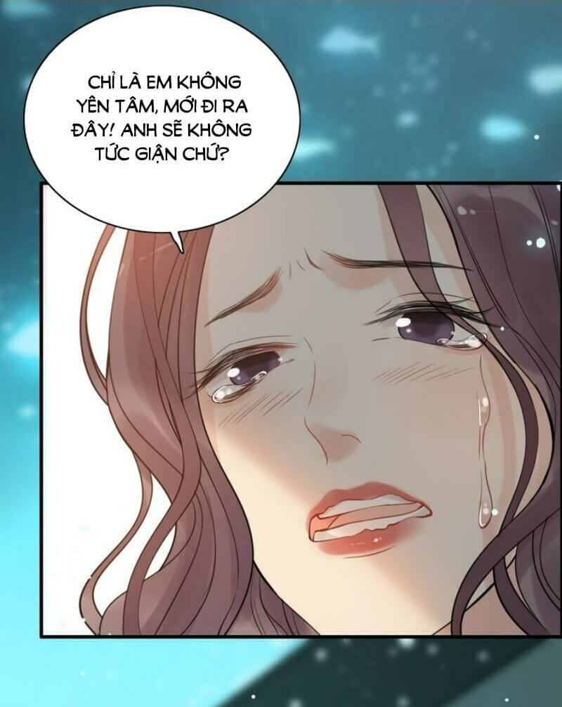 đọc truyện Cô Vợ Hợp Đồng Bỏ Trốn Của Tổng Giám Đốc Chương 205 ảnh 9 tại Thiên Thai Truyện